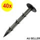 40x Garden Yard Landscaping Plastic Round Head Weed Securing Peg Edge Nails Black 16cm Height