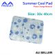 Summer Cool Mat Pad Gel Pillow Cushion for Bed Sofa Small 30cmx40cm Snowflake